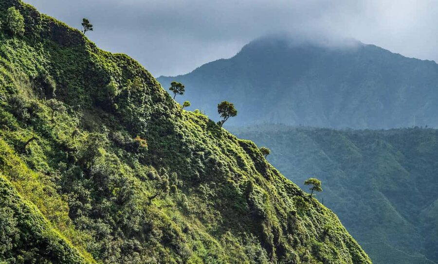 From Princeville: Discover Kauai Helicopter Tour - Starting over Hanapepe Valley at Manawaiopuna Falls
