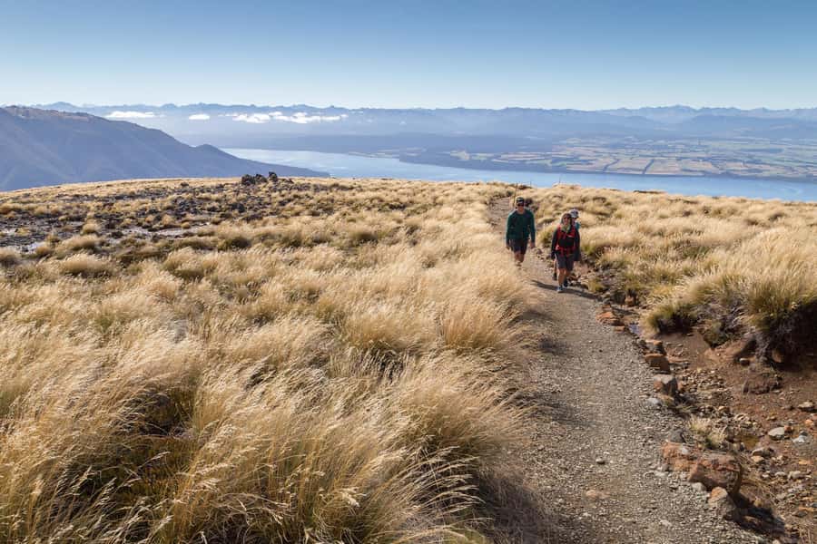 From Te Anau: Full Day Kepler Track Guided Heli-Hike - Key points to know before booking
