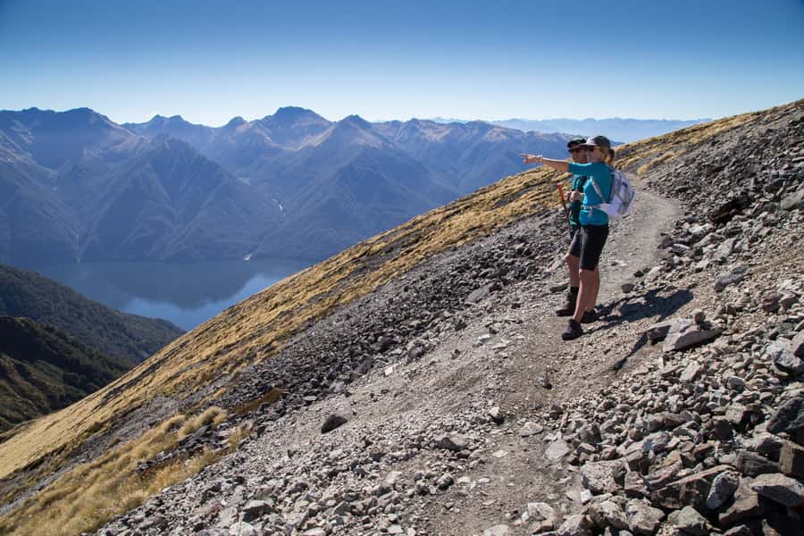 From Te Anau: Full Day Kepler Track Guided Heli-Hike - The three-hour descent through changing forest