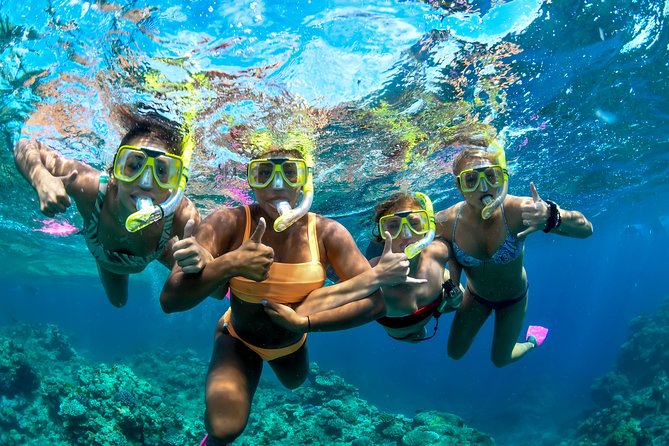Full Day Reef Cruise and 10 Minute Helicopter Scenic Flight - First reef stop: Norman or Saxon Reef