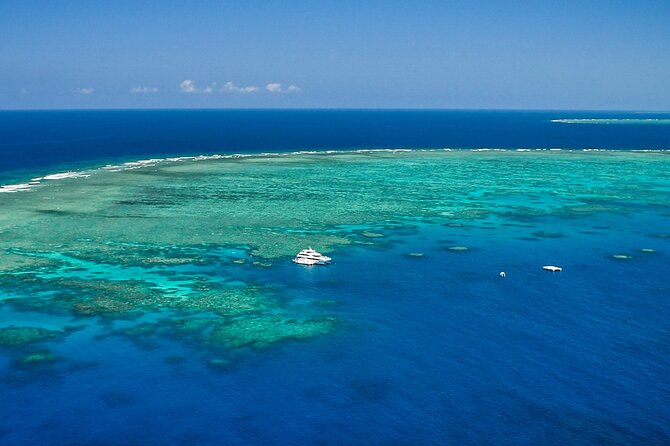 Full Day Reef Cruise and 10 Minute Helicopter Scenic Flight - BBQ lunch with a view of the Great Barrier Reef