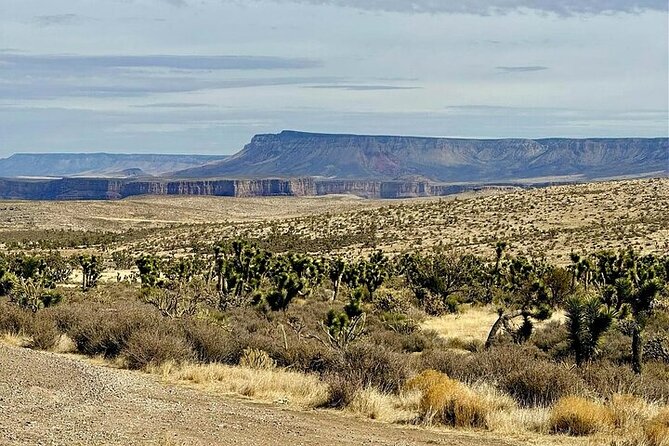 Grand Canyon Helicopter and Ranch Adventure by Luxury Vehicle - The 80-acre ranch and its relaxed pace