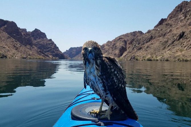 Grand Canyon Helicopter Flight with Emerald Cave Kayak Tour - Willow Beach and the start of the kayak trip