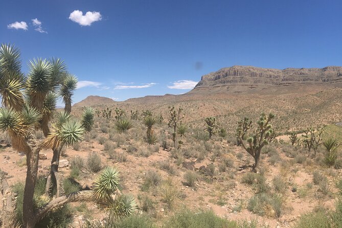 Grand Canyon Western Ranch Overnight Stay by Helicopter & Ground - Should you book this Grand Canyon ranch stay?
