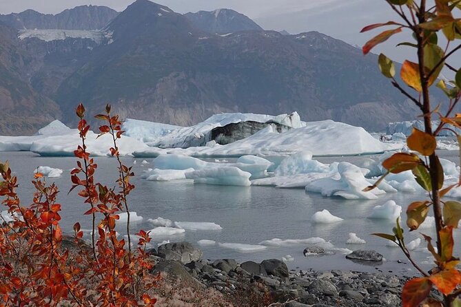 Grand Knik Helicopter Tour - 2 hours 3 landings - ANCHORAGE AREA - What the guide and pilot add