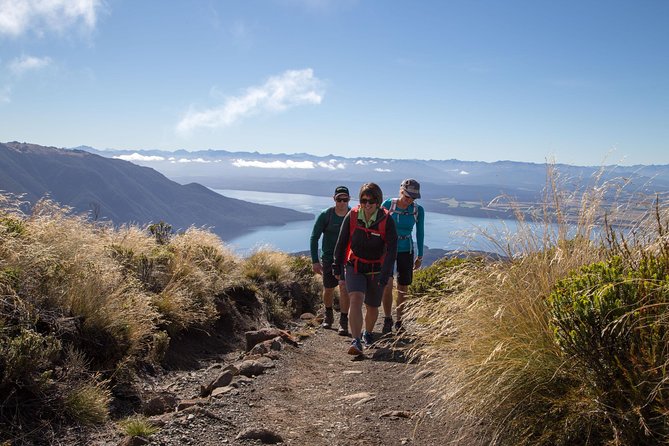 Guided Kepler Track Heli Hike - The Kepler Track descent through beech forest