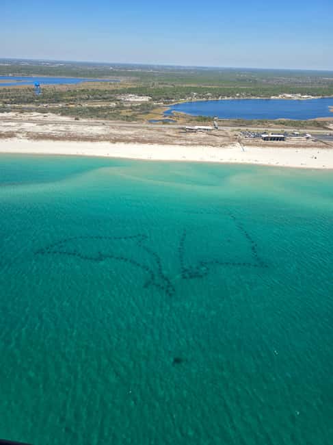 Gulf Shores, Orange Beach: 30-Minute Helicopter Tour - Should You Book the Gulf Shores Helicopter Tour?