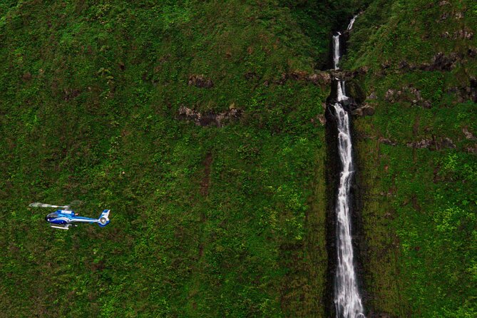 Hana Rainforest Scenic Helicopter Tour - Keanae Peninsula and the taro fields