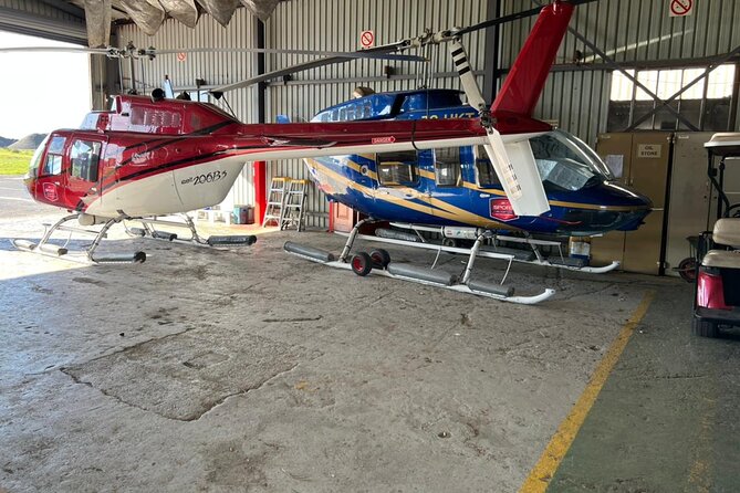 Helicopter, Boat Cruise, Big 5 Safari and Winelands Scenic Experience in 4 Days. - What the $966.39 price really covers