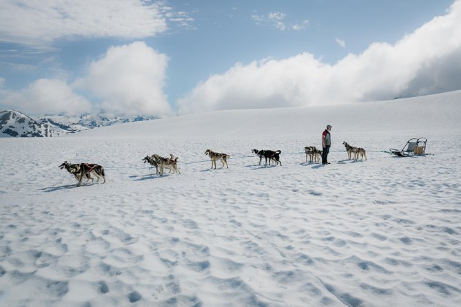 Helicopter Glacier & Dog Sledding Adventure Tour - Key points to know before booking