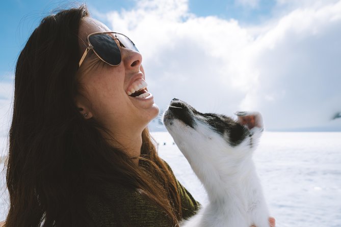 Helicopter Glacier & Dog Sledding Adventure Tour - Landing at a working summer dog camp