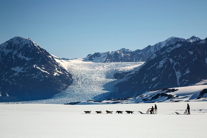 Helicopter Glacier Dogsled + Knik Glacier Landing- Anchorage Area - The big appeal: three Alaska highlights in one flight