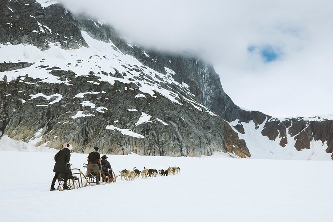 Helicopter To a Dogsledding Experience - What the dogsled ride is really like