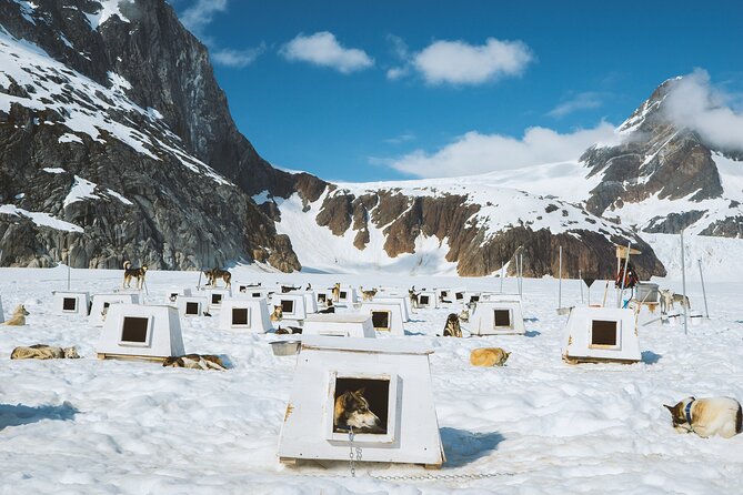 Helicopter To a Dogsledding Experience - The return flight over the Juneau Icefield