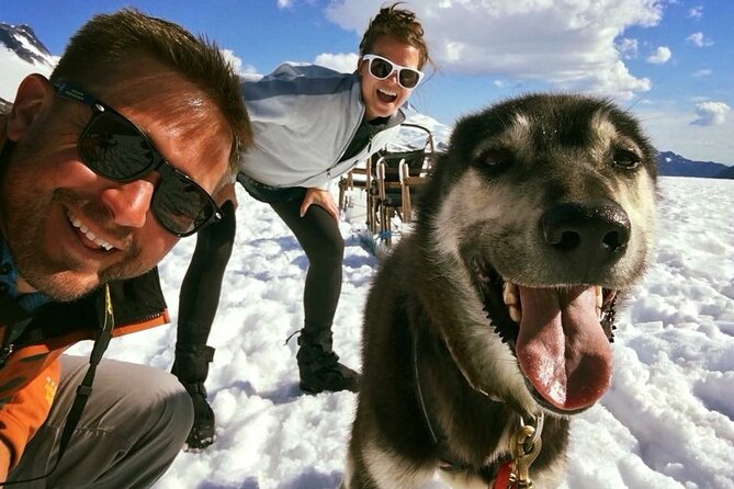 Helicopter To a Dogsledding Experience - Weather, timing, and the risk of disappointment