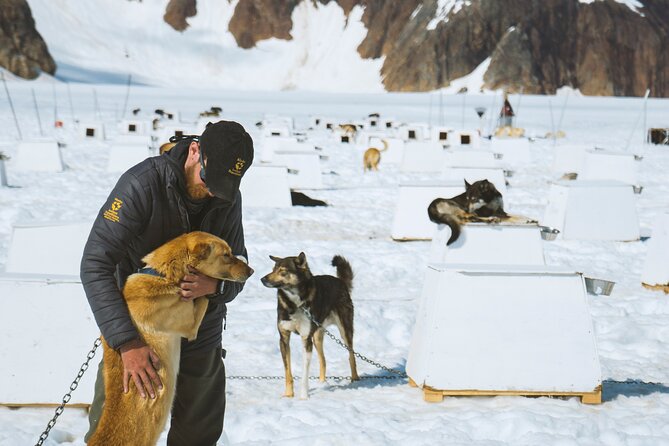 Helicopter to a Dogsledding Experience with a Glacier Landing - Why this Juneau tour is such a strong combination