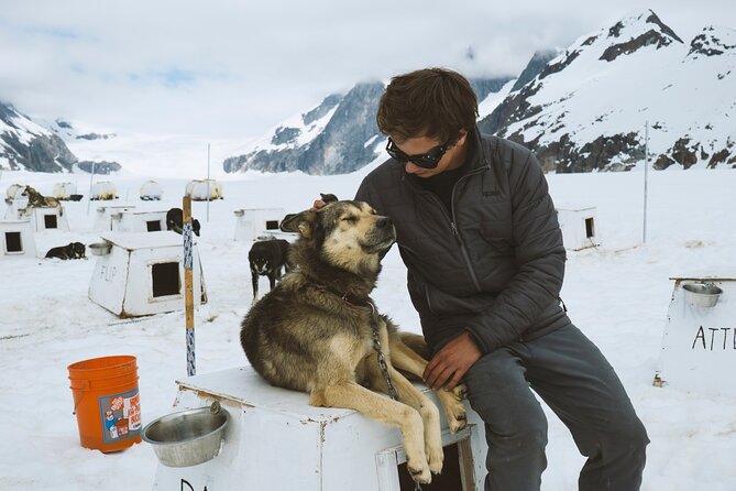 Helicopter to a Dogsledding Experience with a Glacier Landing - Herbert Glacier dog camp and 40 minutes on the trail