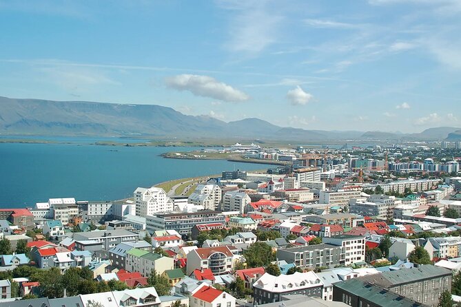 Helicopter tour from Reykjavik: Hengill Area with at site landing - What the $599.56 Price Really Buys