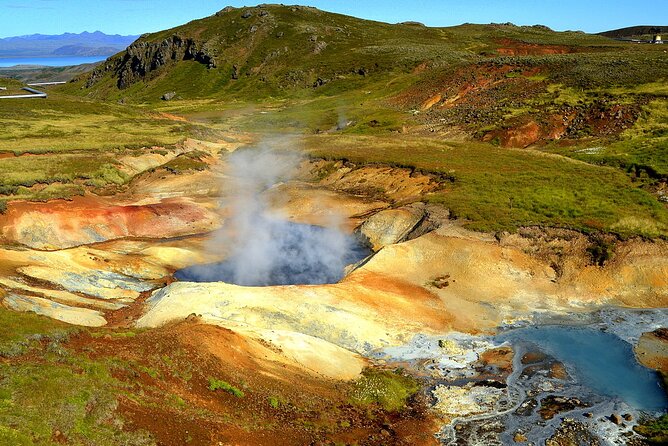 Helicopter tour from Reykjavik: Hengill Area with at site landing - The Hengill Geothermal Area Landing