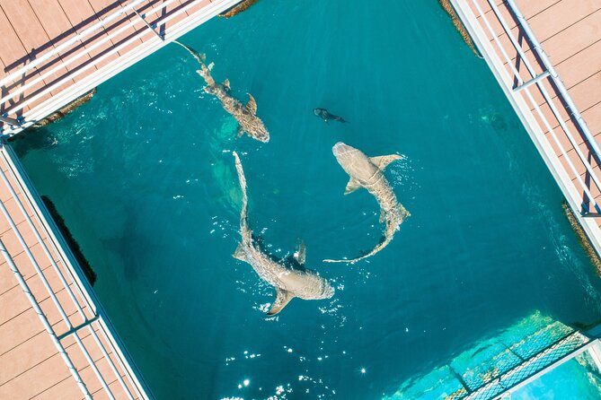 Horizontal Falls Helicopter Adventure from Broome - Who should book this Kimberley adventure?