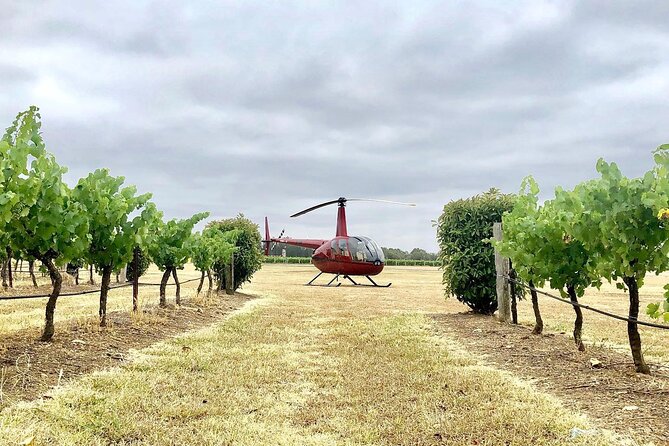 Hunter Valley Helicopter Tour with a Bubbly Breakfast - Hunter Valley from above