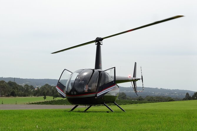 Hunter Valley Wine Country Helicopter Flight from Cessnock - Hunter Valley Gardens from above