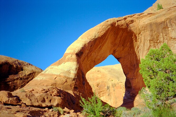 Island in the Sky & Canyon Country Heli Tour - 45 minutes - Is $592 a person fair value?