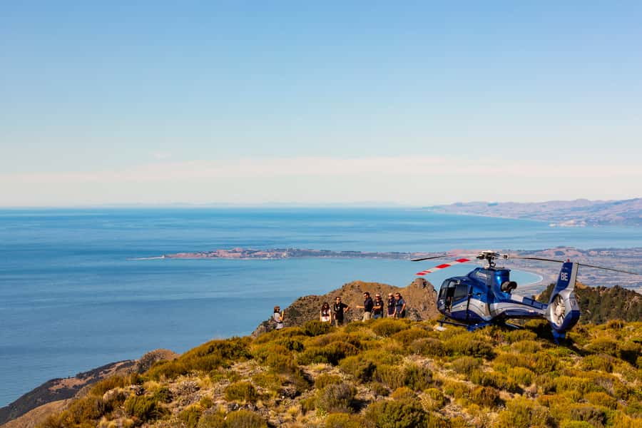 Kaikoura: 1-Hour Whale Watching Helicopter Tour - Who should book this helicopter flight?