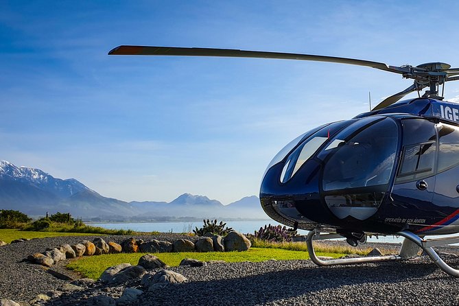 Kaikoura Helicopters Classic Whale Watch - Why Kaikōura is made for whale watching from the air
