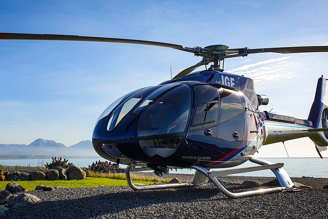 Kaikoura Helicopters Extended Whale Watch - Sperm whales, dolphins, seals, and baleen whales