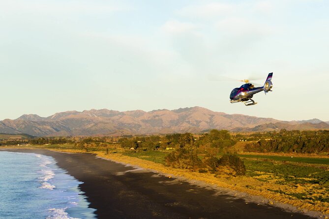 Kaikoura Helicopters Extended Whale Watch - What the aerial view adds
