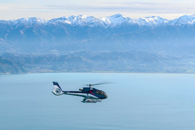 Kaikoura Helicopters Extended Whale Watch - Clothing, cameras, and useful preparation