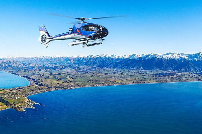 Kaikoura Helicopters Top n Tail Whale Watch flight - What the small group changes