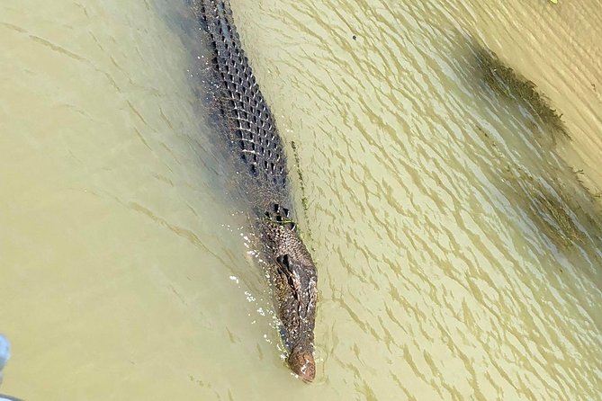 Kakadu Yellow Waters Cruise & Katherine Gorge Helicopter Scenic - Starting above Darwin at 6:30 am