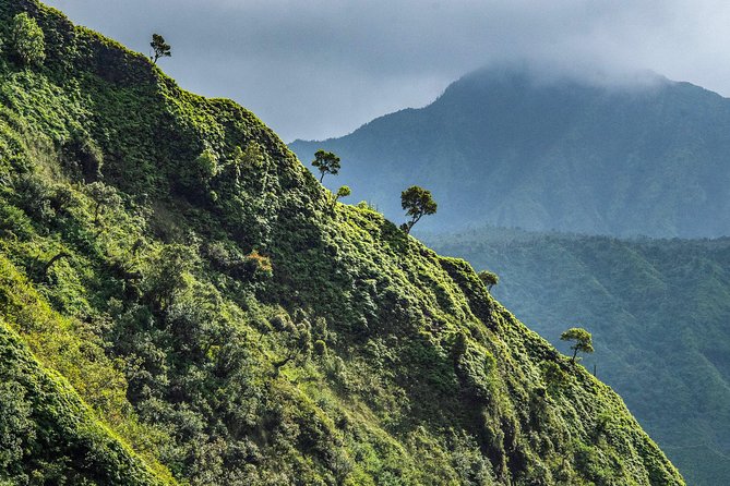 Kauai Eco Adventure Helicopter Tour - Comfort, seating, and motion in the air