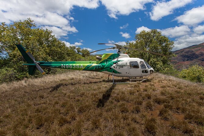 Kauai' Exclusive Helicopter Tour: Land & Explore Olokele Canyon - Who will enjoy this tour most?