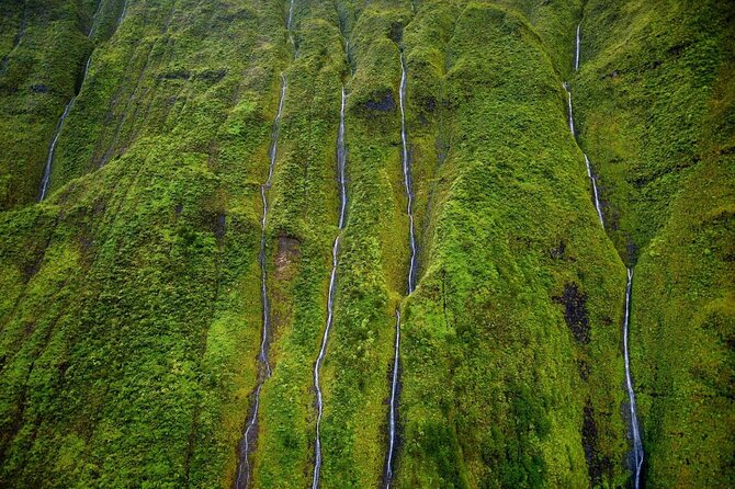 Kauai: Hughes 500 4-Passenger Doors-Off Helicopters - Hanalei Valley and the wet heart of Kauai