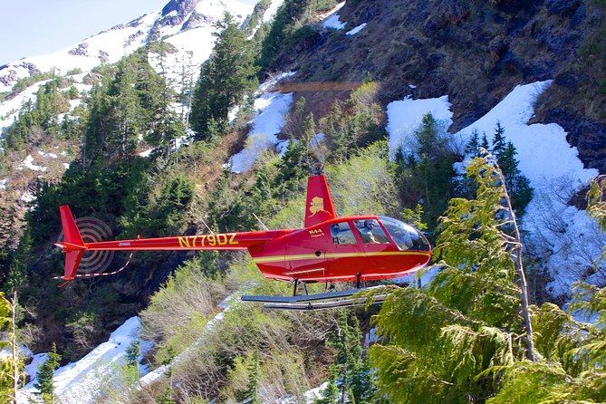Ketchikan Helicopter Tour, Mahoney Falls - Key points before you book