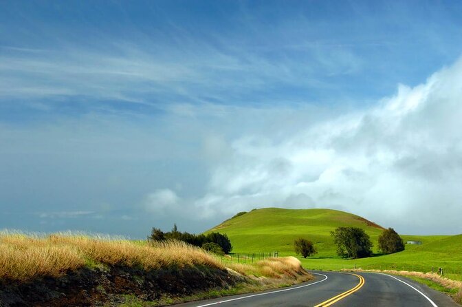 Kohala Waterfalls with Exclusive Landing Helicopter Tour - Five things to know before booking
