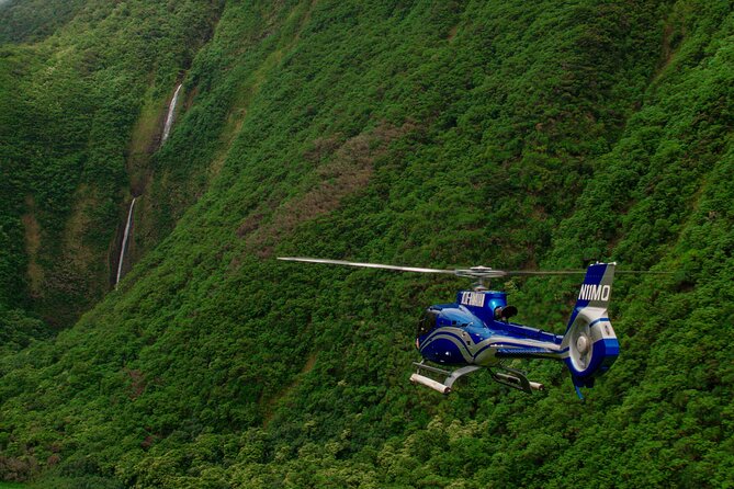 Kohala Waterfalls with Exclusive Landing Helicopter Tour - What the 70-minute schedule really means