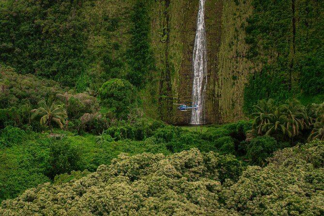 Kohala Waterfalls with Exclusive Landing Helicopter Tour - Comfort, safety, and small restrictions