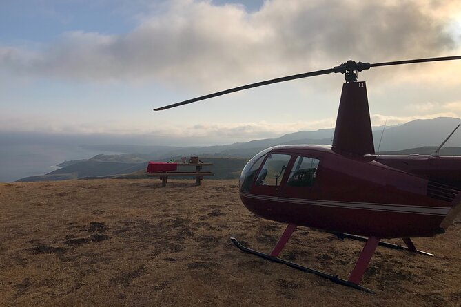 LA Helicopter Tour with Malibu Landing - Beverly Hills and the Sunset Strip