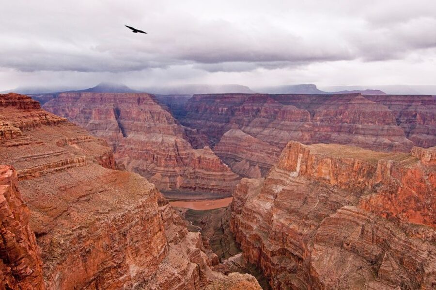 Las Vegas: Grand Canyon Helicopter Landing Tour - The flight over Lake Mead and Hoover Dam