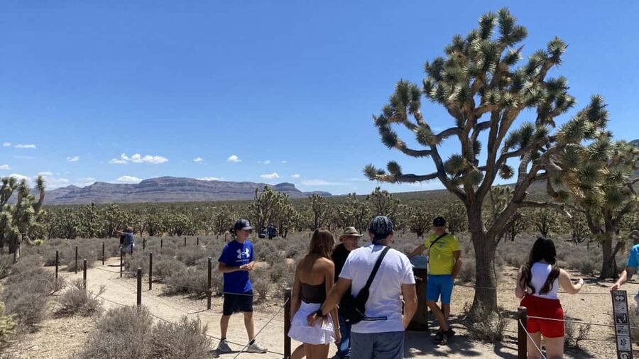 Las Vegas: Grand Canyon Helicopter & Ranch Adventure by Bus - Leaving Las Vegas for the Mojave Desert