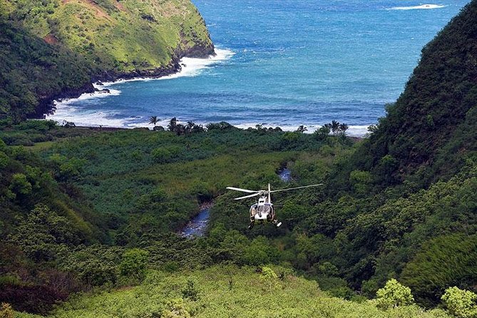 Luxury Helicopter Experience with Hana Rainforest Landing - Key points to know before booking