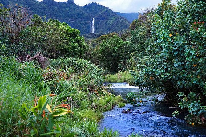 Luxury Helicopter Experience with Hana Rainforest Landing - Kahului to the North Coast by helicopter