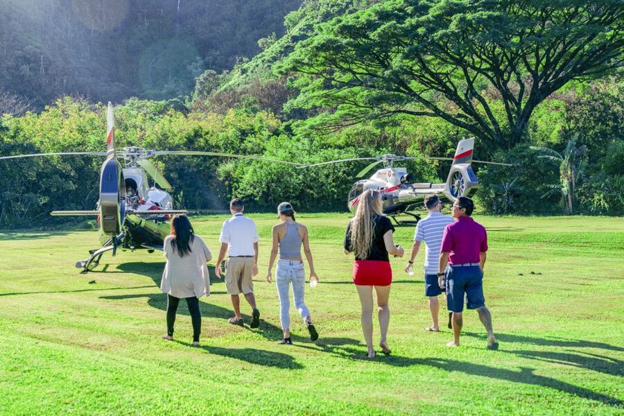 Maui: Road to Hana Helicopter & Waterfall Tour with Landing - The Wailua Valley Rainforest Landing