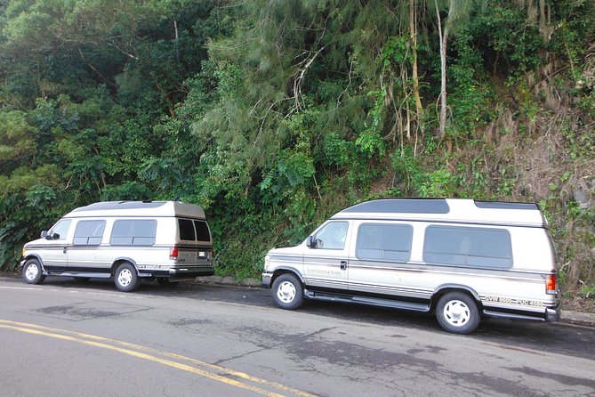 Maui: Road to Hana Luxury Limo-Van Tour with Helicopter Flight - A surprisingly polished beachside lunch