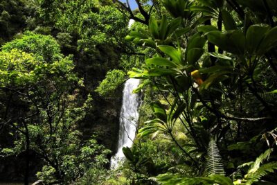 Road to Hana Luxury Limo-Van Tour with Helicopter Flight