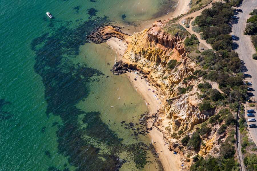 Melbourne: Brighton Beach & Ricketts Point Helicopter Flight - Key points to know before you book